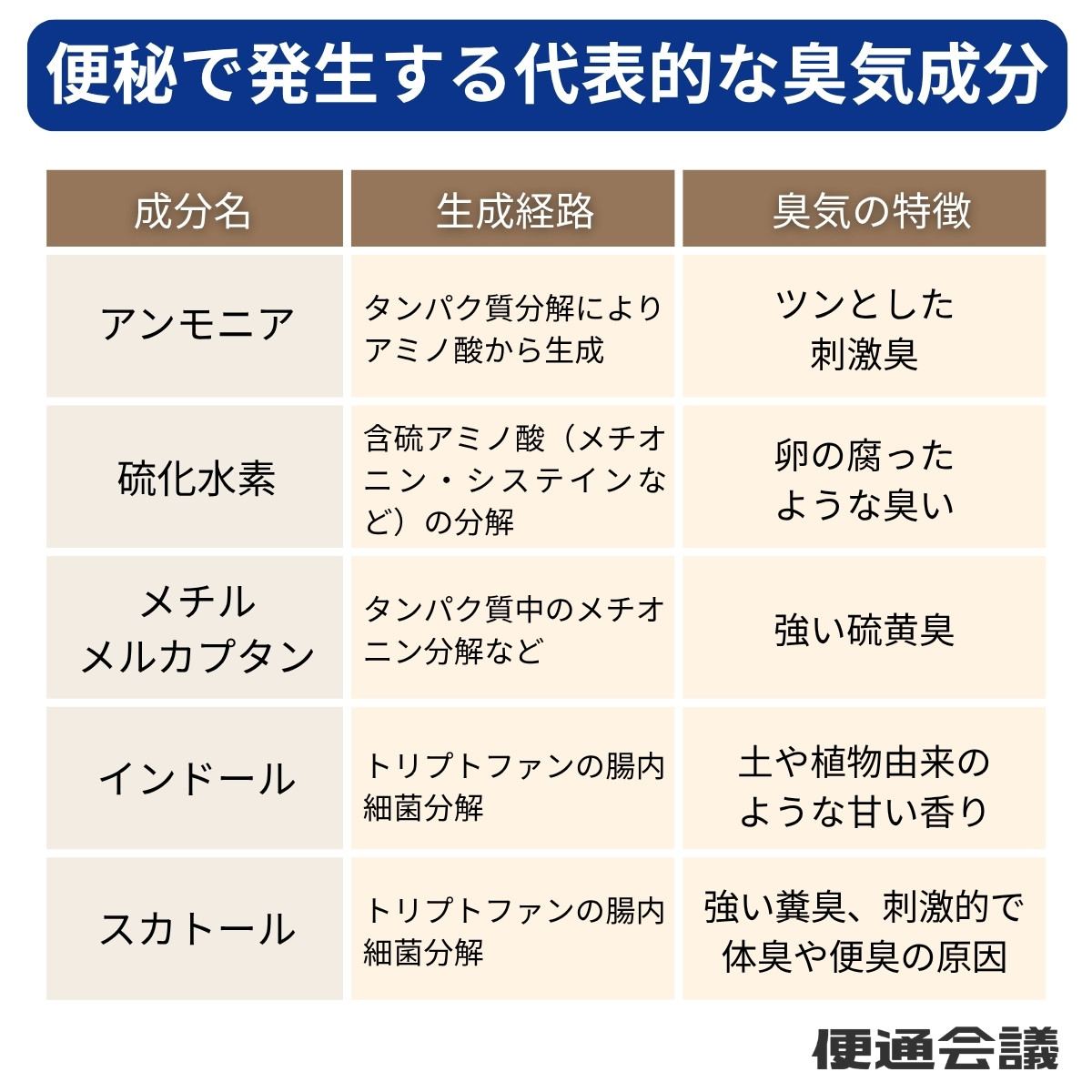 便秘で発生する代表的な臭気成分,アンモニア,硫化水素,メチルメルカプタン,インドール,スカトール