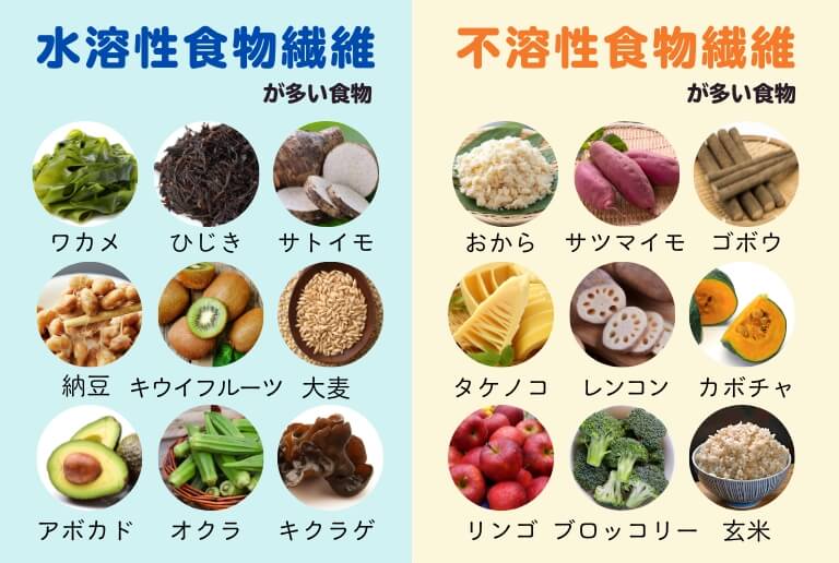 水溶性食物繊維、不溶性食物繊維が多い食べ物 