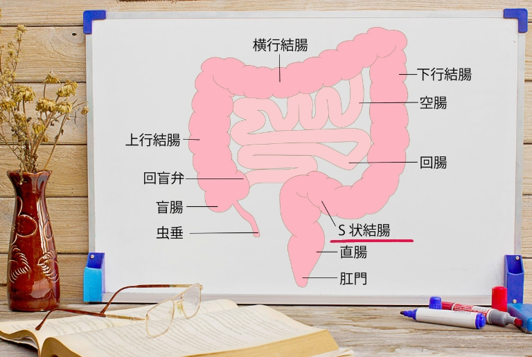 便は左下腹部にあるS状結腸に滞留しやすい