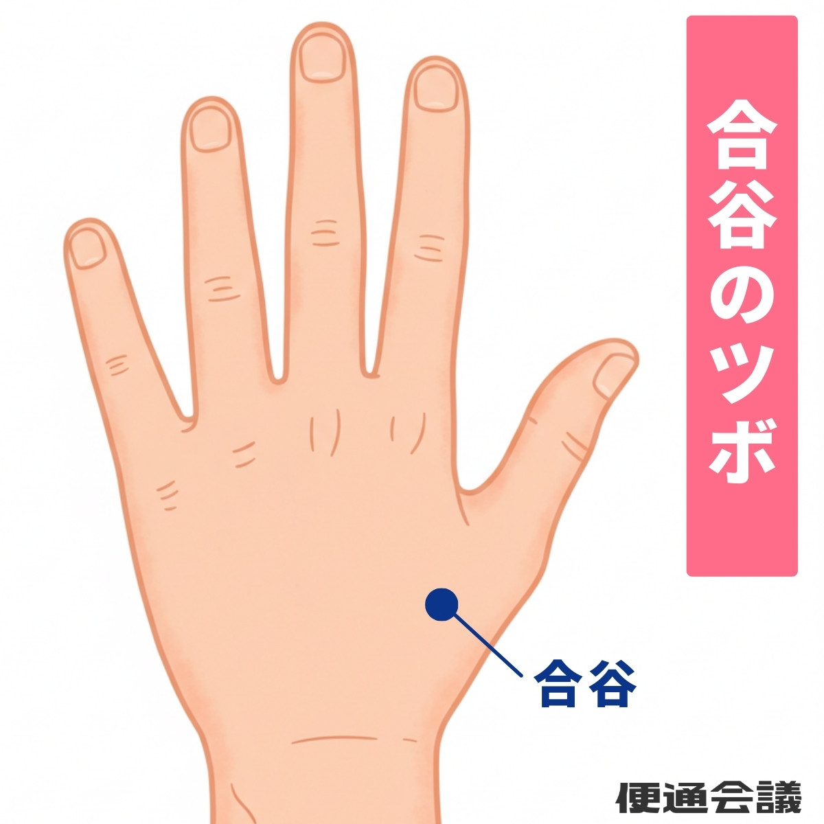 合谷（ごうこく）のツボ
