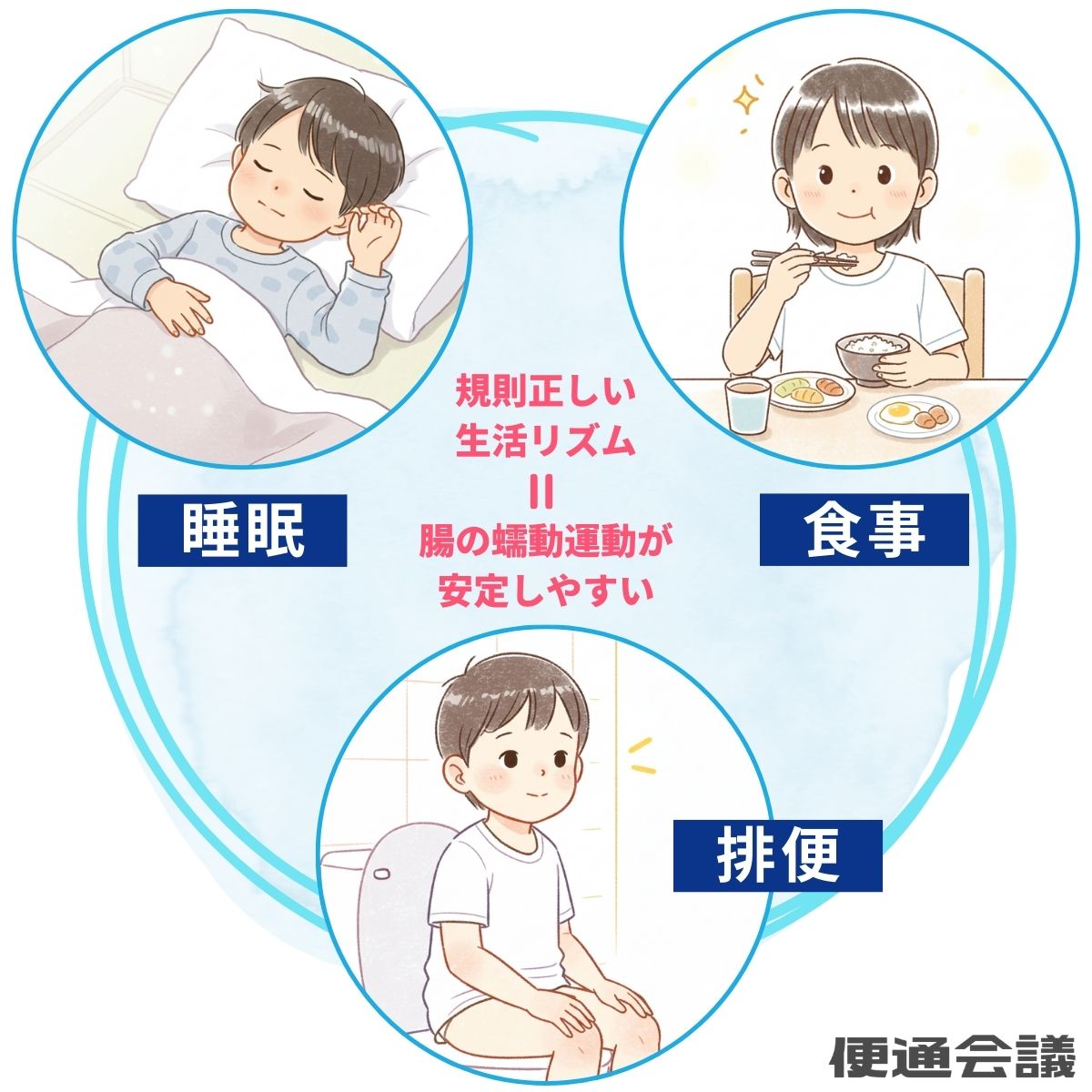 規則正しい生活リズムで腸の蠕動運動が安定