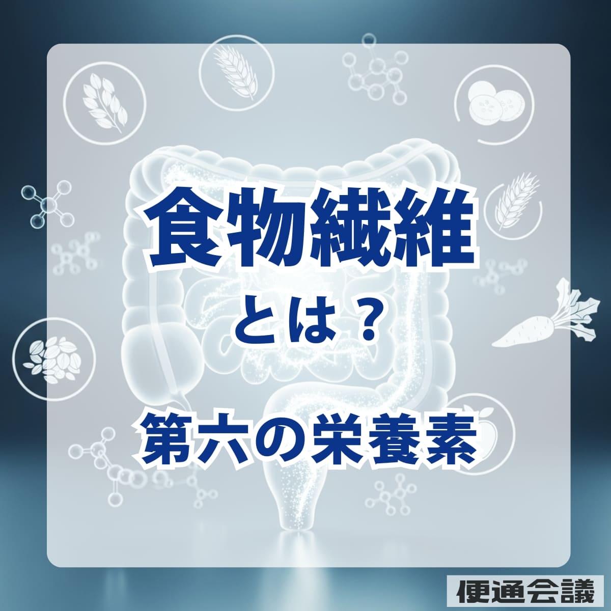 食物繊維とは？腸内環境を整えて便秘改善に役立つ“第六の栄養素”