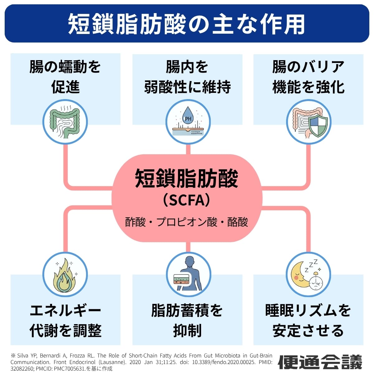 短鎖脂肪酸の主な作用