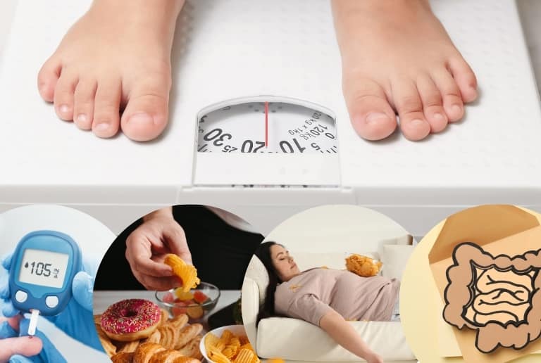 太る原因を解説！肥満のメカニズム