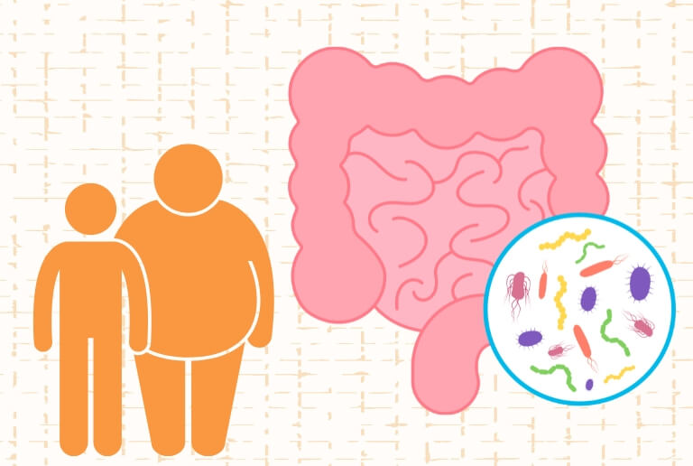 肥満を招く“デブ菌”とは？