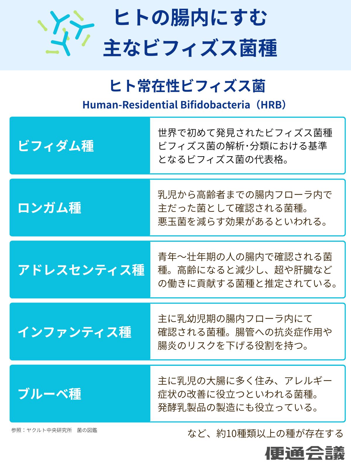 ヒトの体内にすむ主なビフィズス菌の菌種