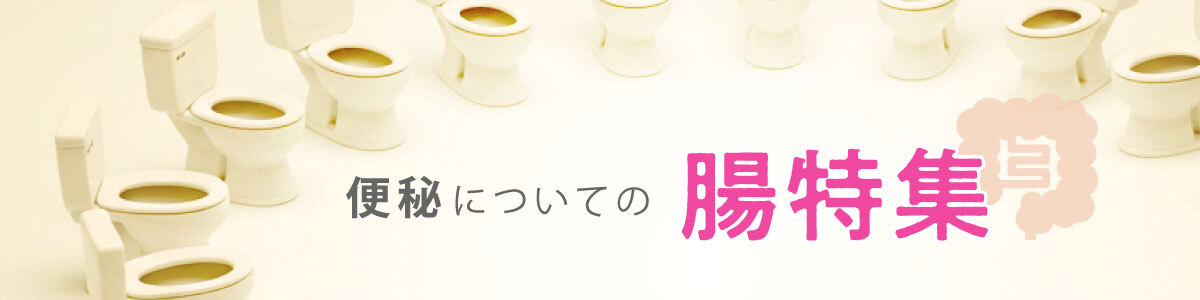 便秘についての腸特集