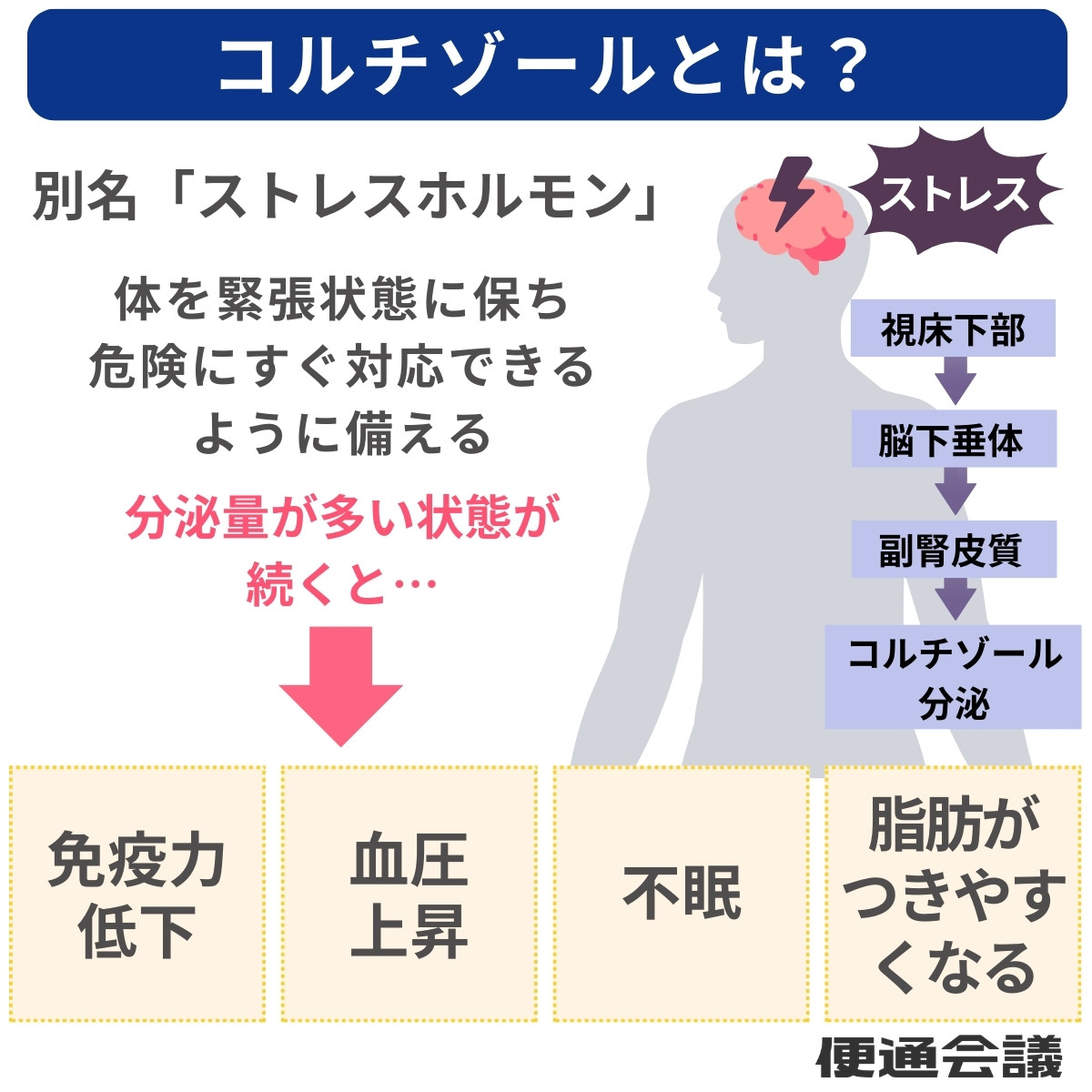 ストレスホルモン・コルチゾールの特徴