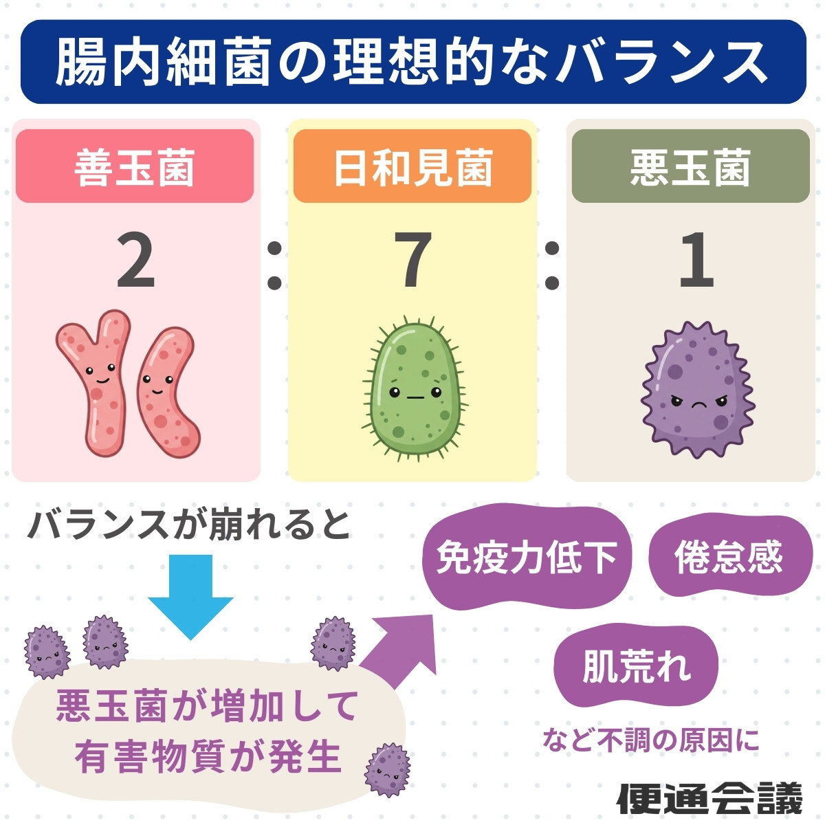 理想的な腸内細菌バランス