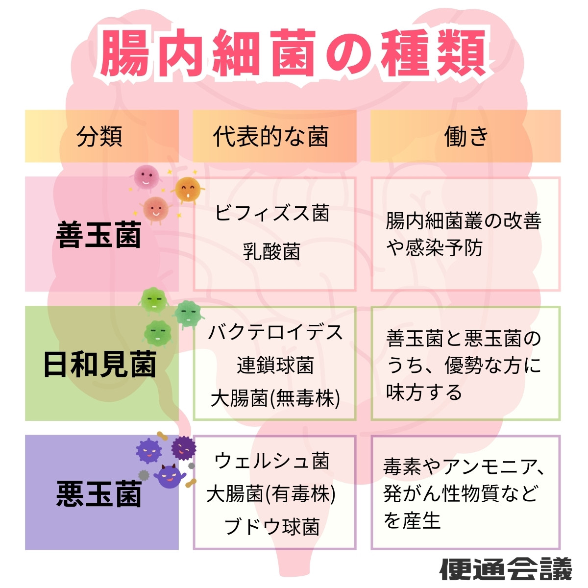 腸内細菌の種類