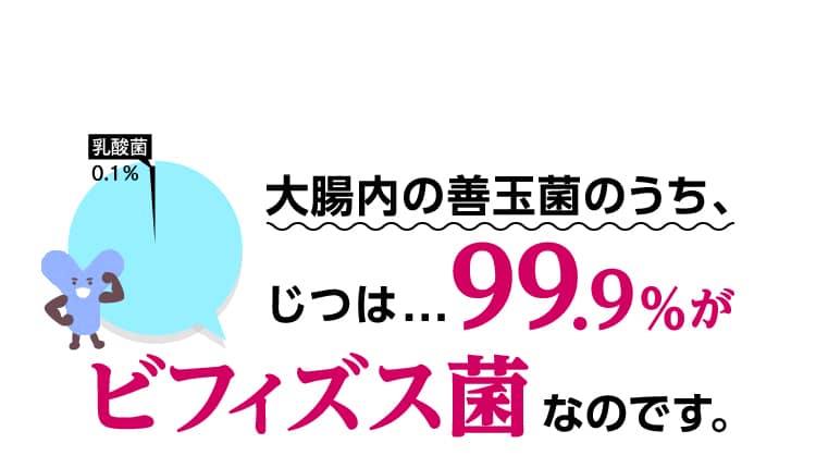 大腸内の善玉菌のうち、じつは... 99.9%がビフィズス菌なのです。