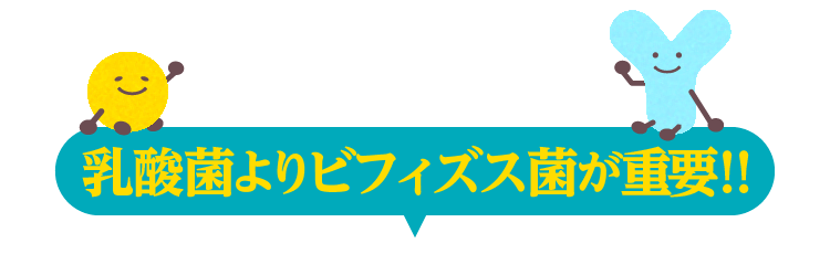 乳酸菌よりビフィズス菌が重要