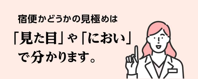 宿便かどうかの見極めは「見た目」や「におい」で分かります。