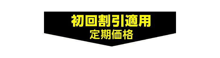 初回割引適用 定期価格