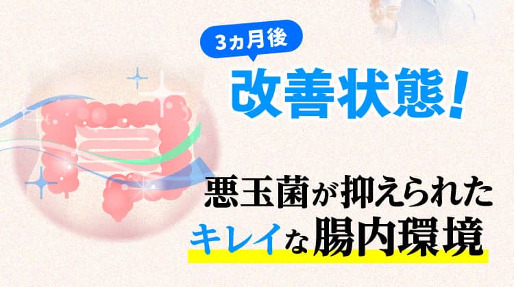 3ヵ月後改善状態！＝悪玉菌が抑えられたキレイな腸内環境