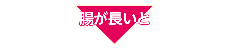 腸が長いと