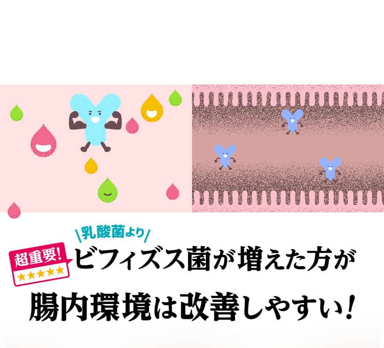 ビフィズス菌が増えた方が腸内環境は改善しやすい！