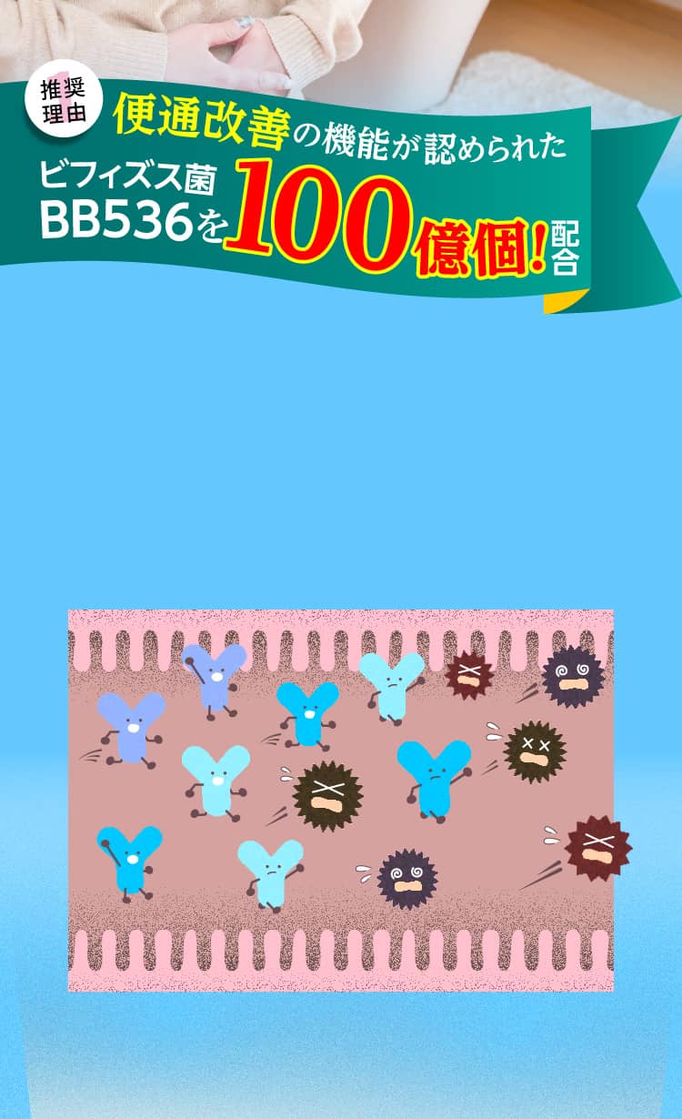 推奨理由1 便通改善の機能が認められたビフィズス菌BB536を100億個配合！