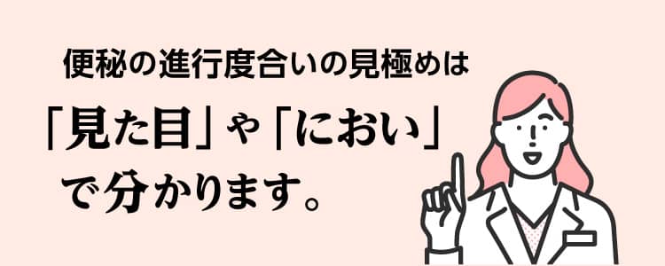 宿便かどうかの見極めは「見た目」や「におい」で分かります。
