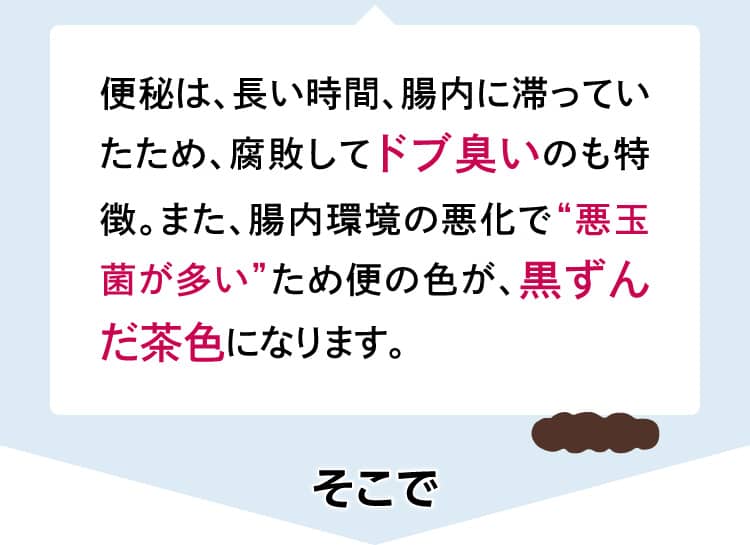 便秘は、長い時間、腸内に滞っていたため、腐敗してドブ臭いのも特徴。また、腸内環境の悪化で“悪玉菌が多い”ため便の色が、黒ずんだ茶色になります。