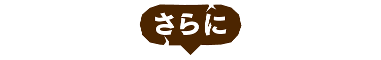 さらに