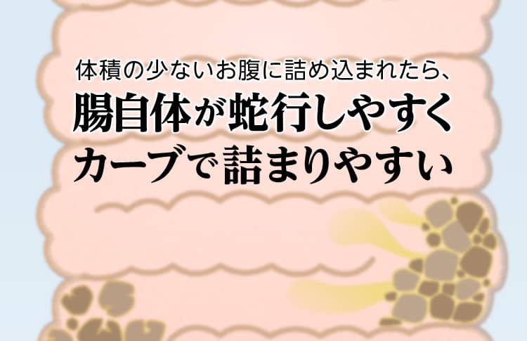 体積の少ないお腹に詰め込まれたら、腸自体が蛇行しやすくカーブで詰まりやすい