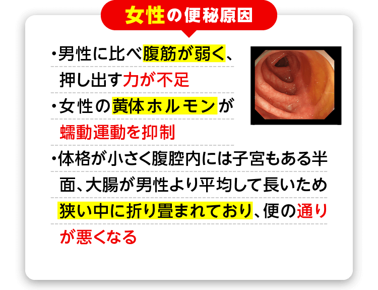 [女性の便秘原因] ・男性に比べ腹筋が弱く、押し出す力が不足・女性の黄体ホルモンが蠕動運動を抑制・体格が小さく腹腔内には子宮もある半面、大腸が男性より平均して長いため狭い中に折り畳まれており、便の通りが悪くなる