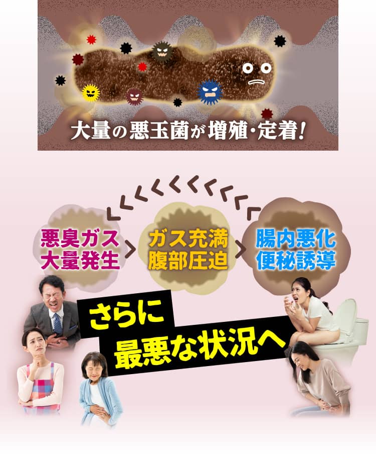 大量の悪玉菌が増殖・定着！　悪臭ガス大量発生＞ガス充満腹部圧迫＞腸内悪化便秘誘導＞繰り返し