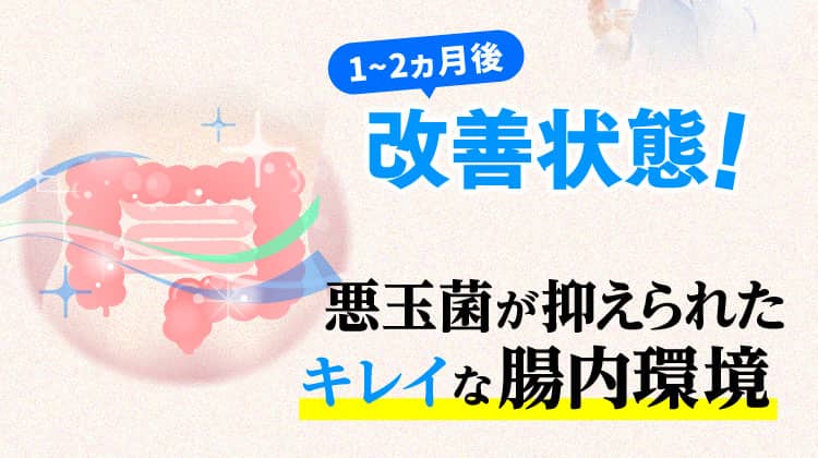 3ヵ月後改善状態！＝悪玉菌が抑えられたキレイな腸内環境
