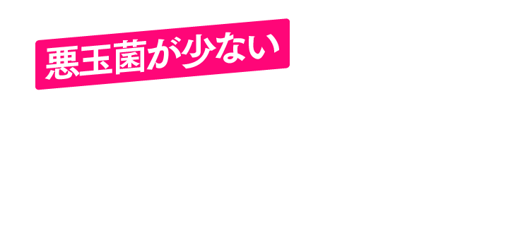 悪玉菌が少ない