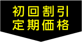 初回割引定期価格