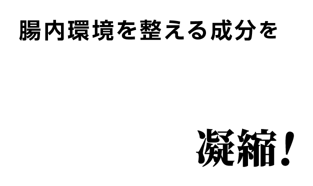 腸内環境を整える成分を