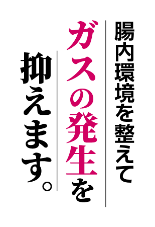 腸内環境を整えてガスの発生を抑えます。